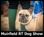 Muirfield Riding Therapy Dog Show