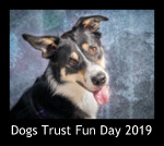 Dogs Trust Fun Day 2019